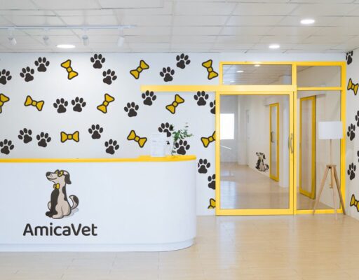 Фирменный стиль ветеринарной клиники AmicaVet в интерьере