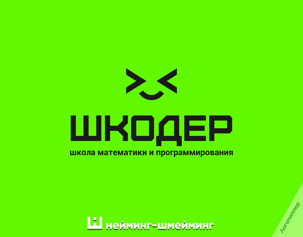 «Шкодер» — оригинальное название для школы математики и программирования.